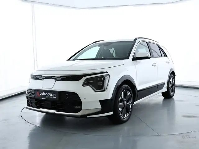 Kia e-Niro view 3