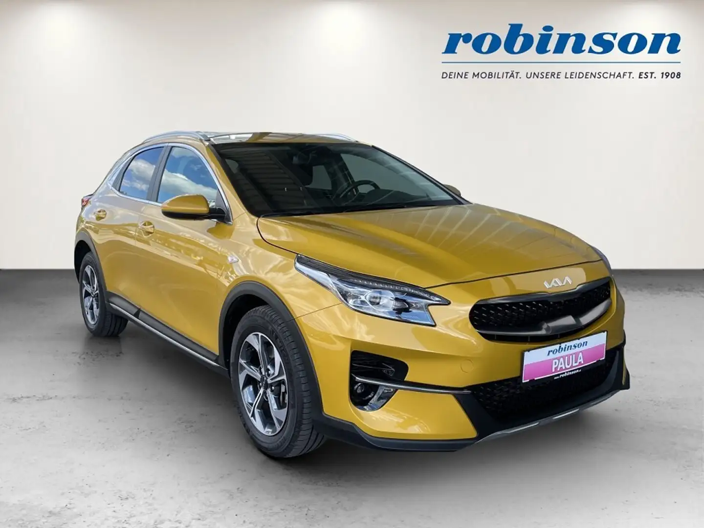 Kia XCeed Xceed 1,0 TGDI GPF Silber Gelb - 1