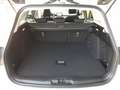 Ford Focus Turnier 1,5 EcoBlue *VOLL LED / NAVI / AHV&KAMERA / ASSIST PAKET / ACC / SHZG* Weiß - thumbnail 12