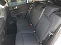 Ford Focus Traveller 1,5 EcoBlue Trend Edition Business Weiß - thumbnail 11