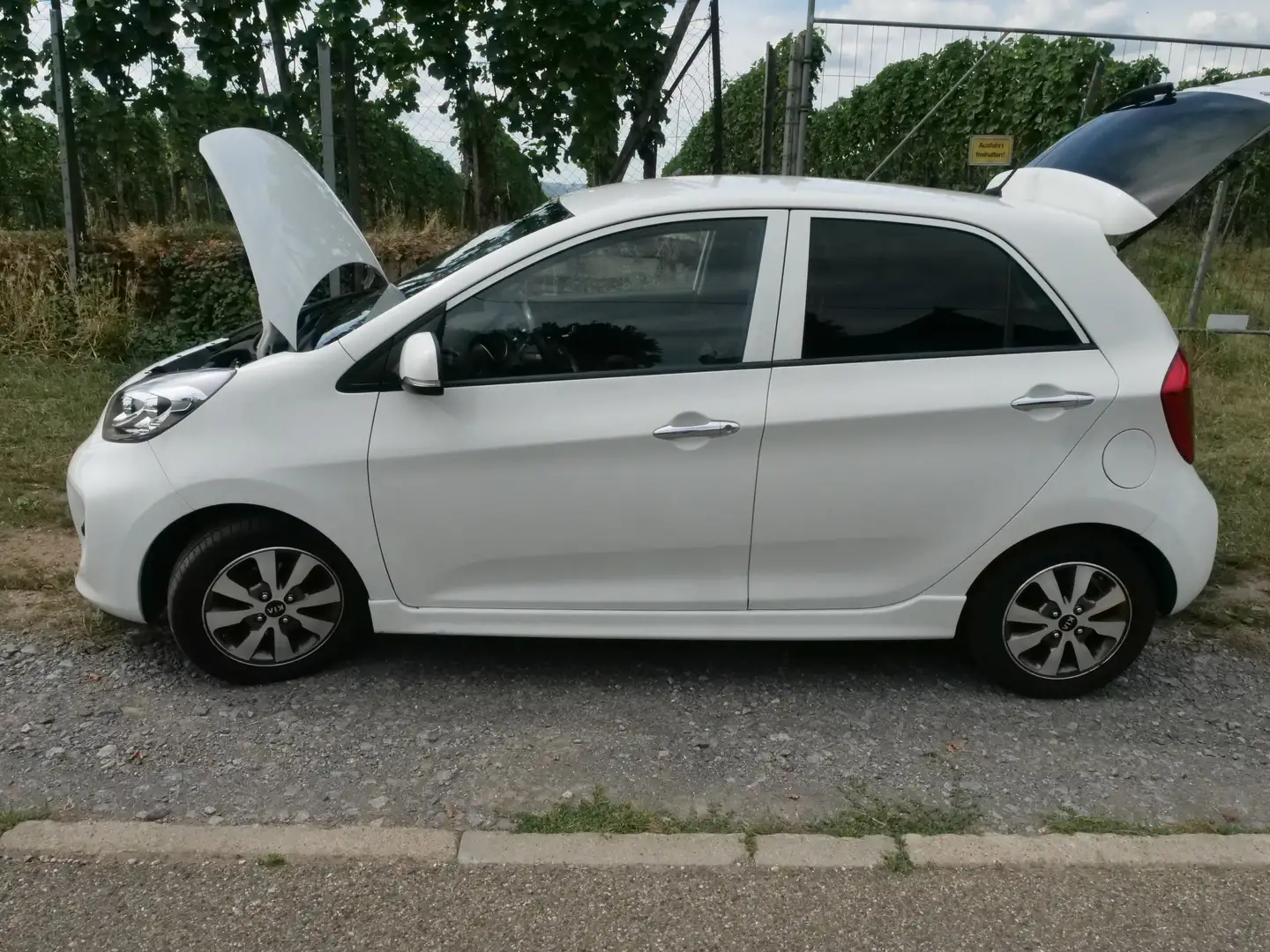 Kia Picanto Picanto 1.0 LPG ISG Spirit - 1