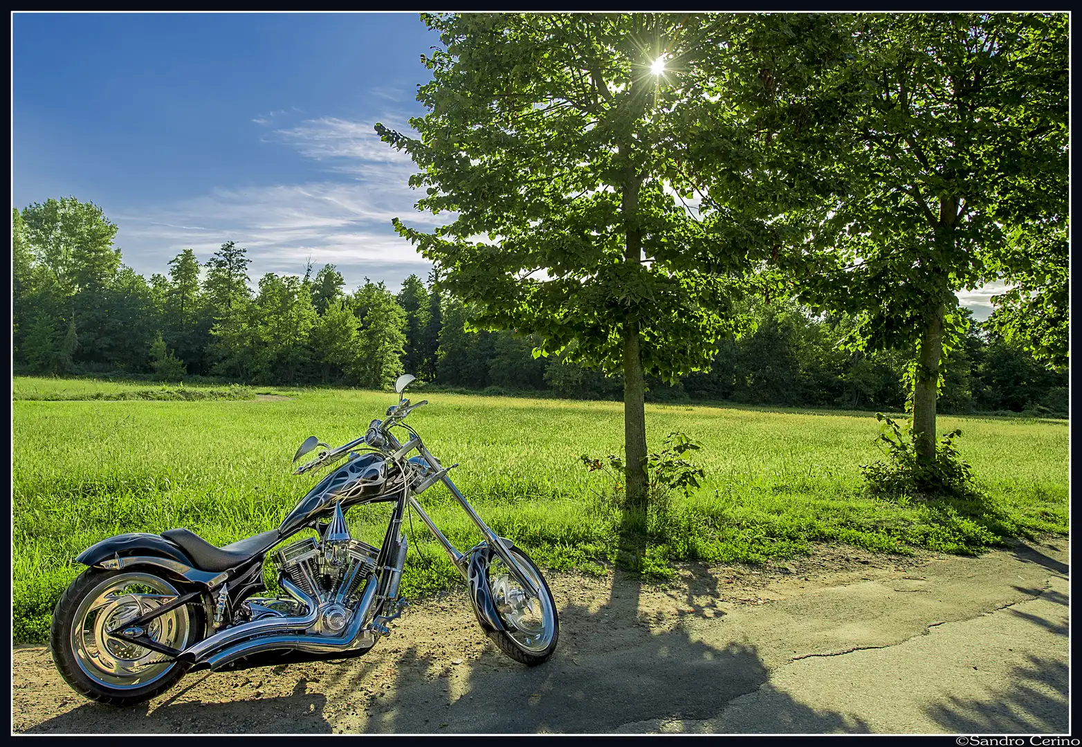 Big Dog K-9 CHOPPER Zwart - 1