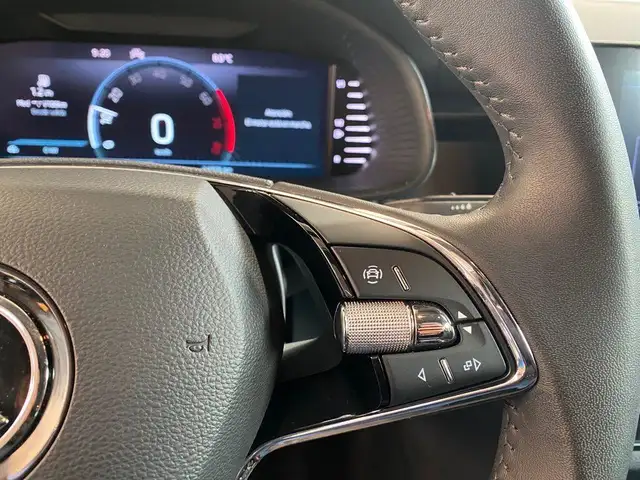 Skoda Kamiq view 15