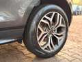 Land Rover Range Rover Evoque R-DYNAMIC HSE AWD Automatik Gris - thumbnail 24