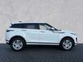 Land Rover Range Rover Evoque D165 AWD el.Heckklappe Weiß - thumbnail 6