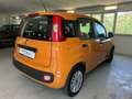 Fiat Panda 1.2CC 69CV ITALIANA UNIPRO OK NEOPAT Orange - thumbnail 4