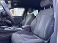 Audi A4 Avant 2.0 TDI 150 CV S tronic S line edition Bianco - thumbnail 9