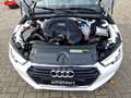 Audi A4 Avant 1.4 TFSI Basis LED Navi Sitzhzg. Klimaauto Weiß - thumbnail 15