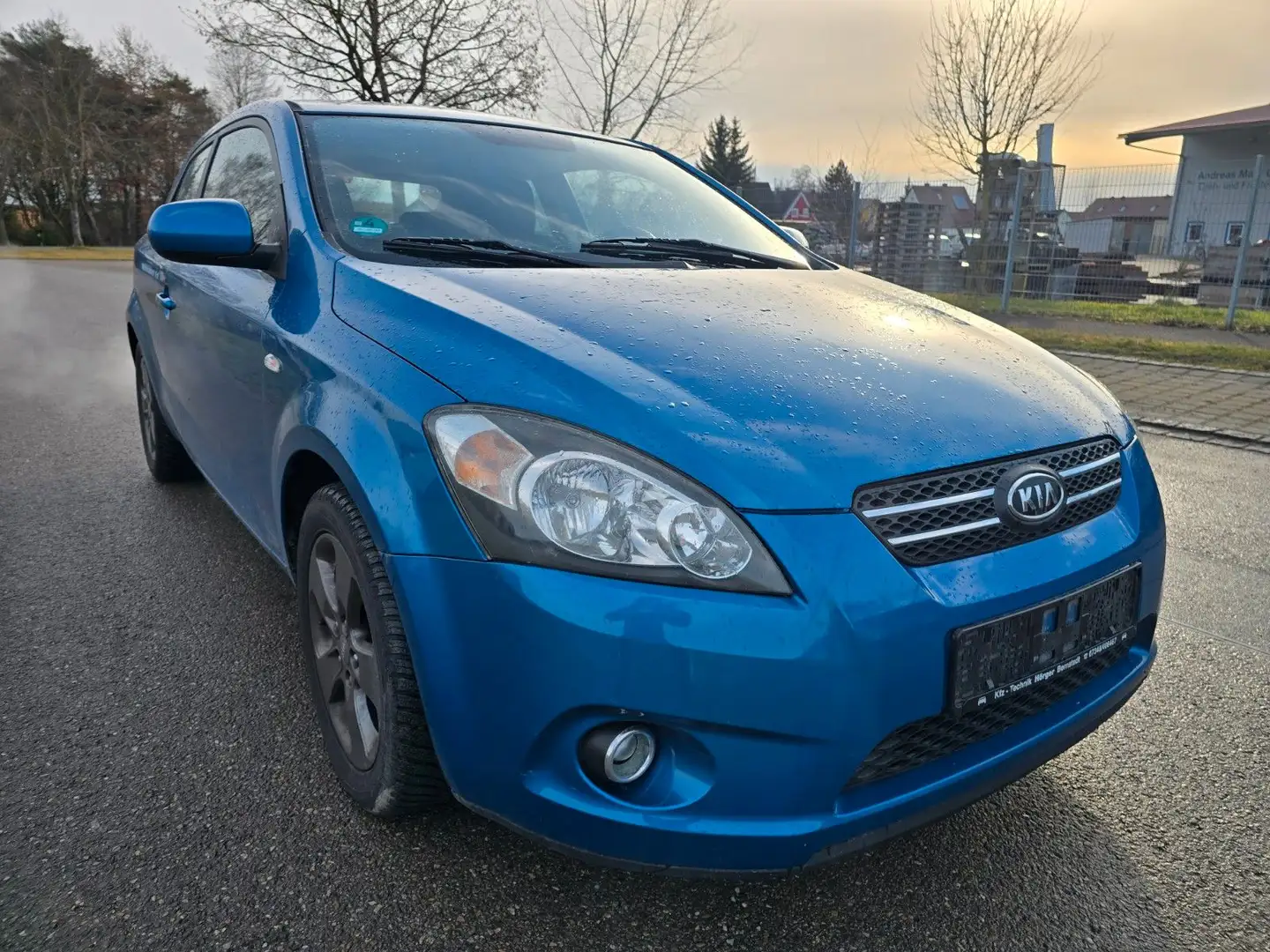 Kia Sonstige ProCeed Seven Stars Blau - 2