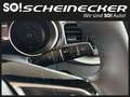 Kia Ceed / cee'd ceed 1,0 T-GDI GPF Titan P1 - Paket Titan Noir - thumbnail 21