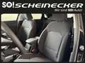 Kia Ceed / cee'd ceed 1,0 T-GDI GPF Titan P1 - Paket Titan Noir - thumbnail 11