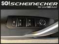 Kia Ceed / cee'd ceed 1,0 T-GDI GPF Titan P1 - Paket Titan Noir - thumbnail 12