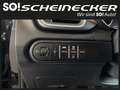 Kia Ceed / cee'd ceed 1,0 T-GDI GPF Titan P1 - Paket Titan Noir - thumbnail 13