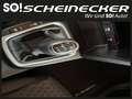 Kia Ceed / cee'd ceed 1,0 T-GDI GPF Titan P1 - Paket Titan Noir - thumbnail 14