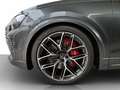 Audi RS Q8 4.0 TFSI quattro tiptronic Pano, HUD, AHK Серый - thumbnail 9