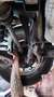 Jaguar X-Type X-Type 2,5 V6 Executive Executive - thumbnail 9