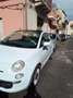Fiat 500 500 III 1.2 Lounge 69cv Bianco - thumbnail 2