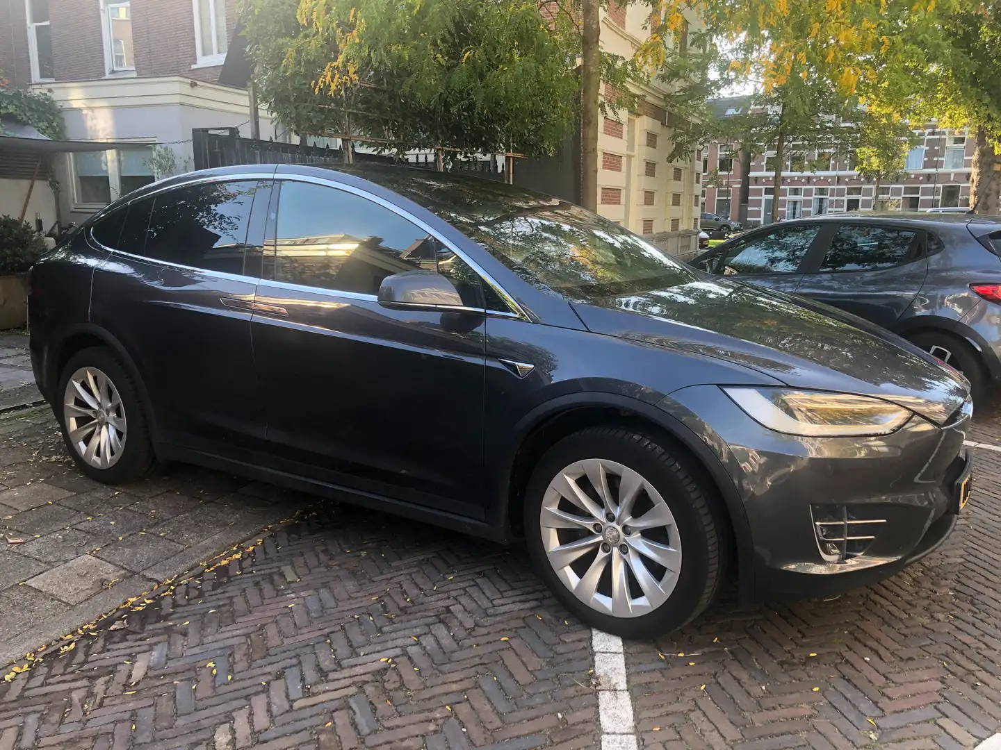 Tesla Model X 90D Free supercharging Grijs - 2