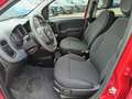 Fiat Panda Panda Cross 1.0 FireFly S&S Hybrid Rosso - thumbnail 15