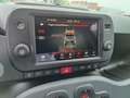 Fiat Panda Panda Cross 1.0 FireFly S&S Hybrid Rosso - thumbnail 19