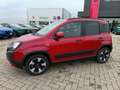Fiat Panda Panda Cross 1.0 FireFly S&S Hybrid Rosso - thumbnail 9