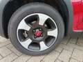 Fiat Panda Panda Cross 1.0 FireFly S&S Hybrid Rosso - thumbnail 14