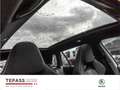 Skoda Kamiq 1.5l TSI Monte Carlo LED APP PDC SHZ Silber - thumbnail 10