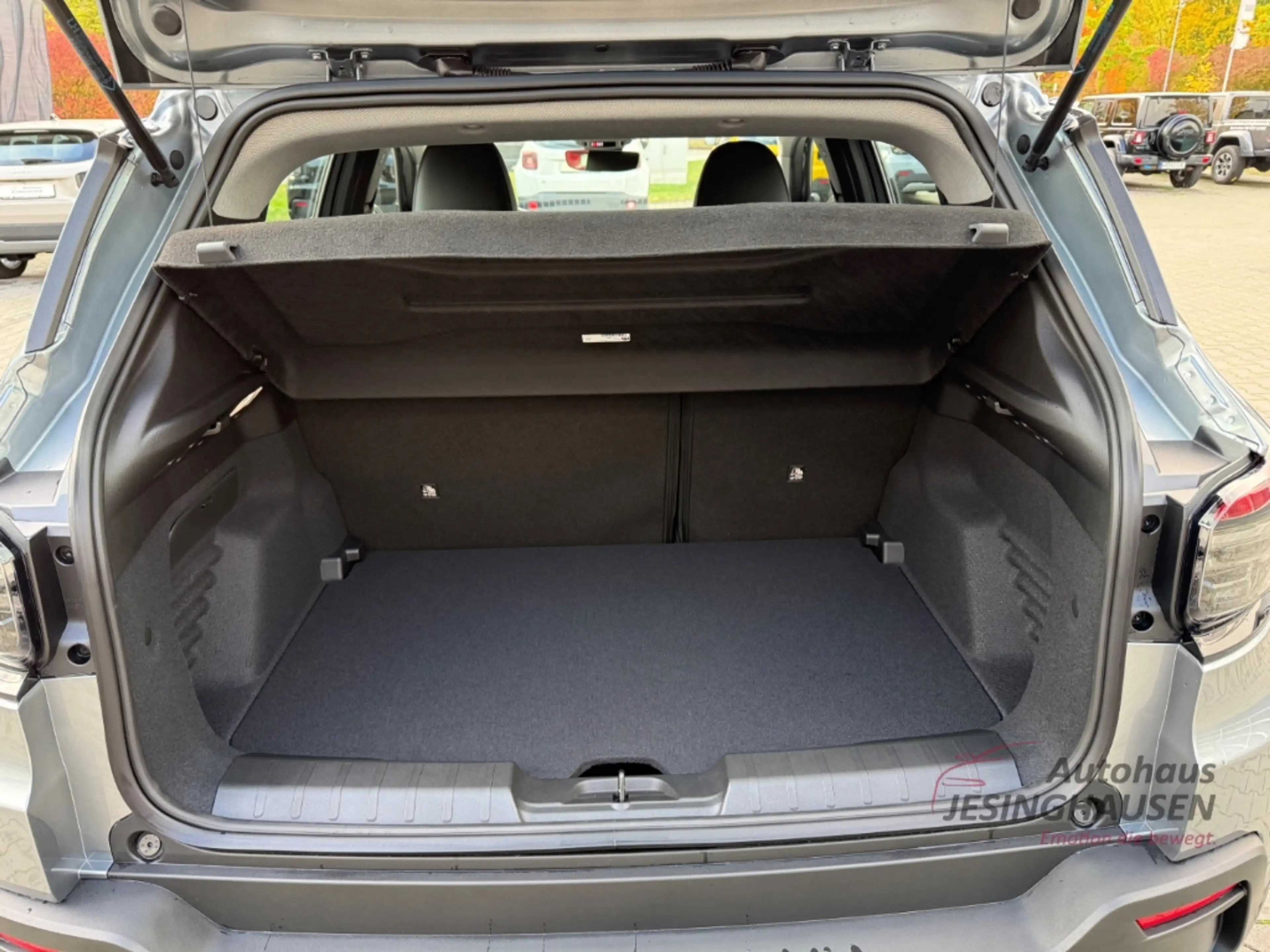Jeep Avenger Altidude +Rückfahrkam+.LED+Sitzheiz.+Tempom. — photo 14