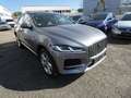 Jaguar F-Pace D300 AWD SE Grau - thumbnail 1
