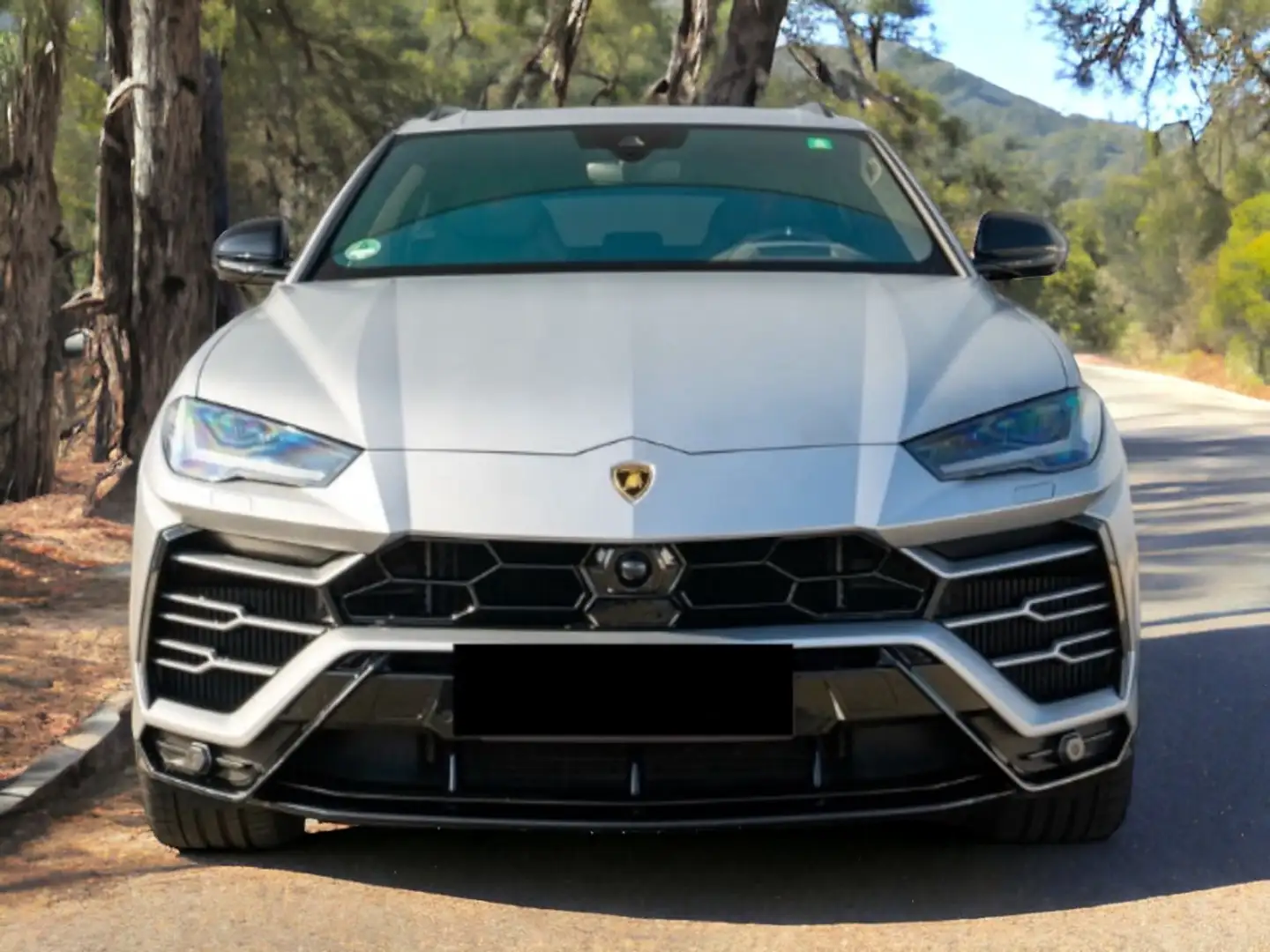 Lamborghini Urus 4.0 V8 Aut. Plateado - 1