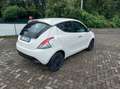 Lancia Ypsilon Ypsilon III 2021 1.0 firefly hybrid Silver s Bianco - thumbnail 5