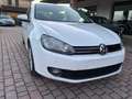 Volkswagen Golf Golf 5p 1.4 United 80cv Bianco - thumbnail 3