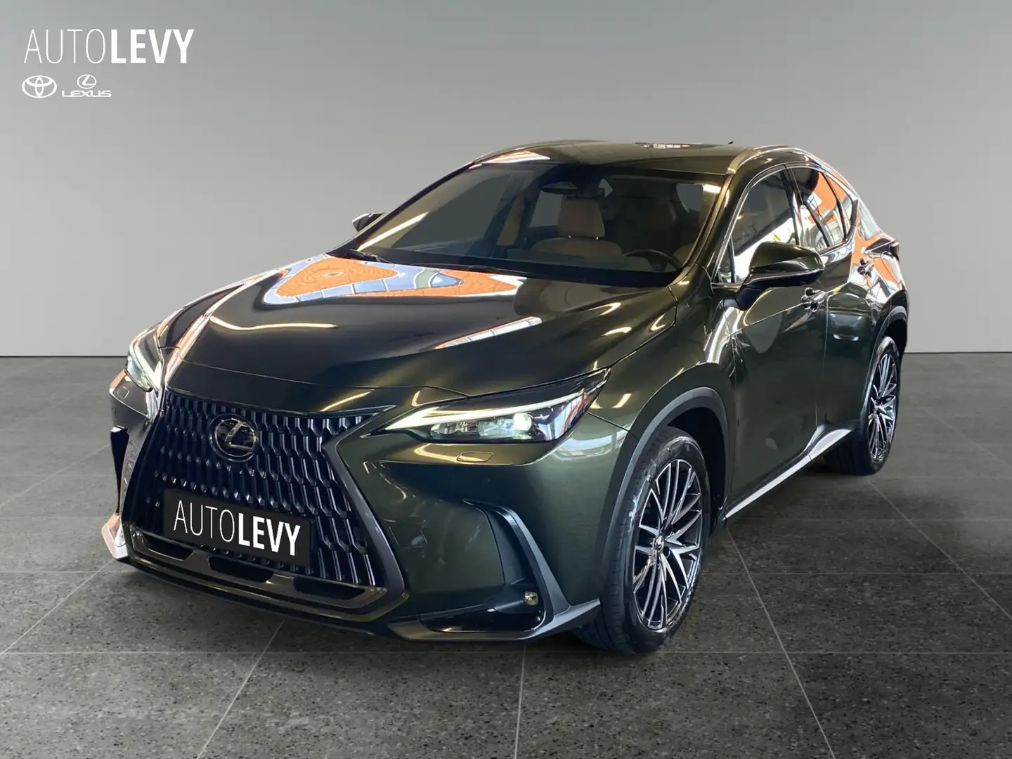Lexus NX 350h Executive *NAVI*CARPLAY* Grün - 2