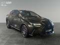 Lexus NX 350h Executive *NAVI*CARPLAY* Grün - thumbnail 8