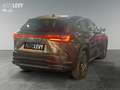 Lexus NX 350h Executive *NAVI*CARPLAY* Grün - thumbnail 6