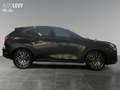 Lexus NX 350h Executive *NAVI*CARPLAY* Groen - thumbnail 7