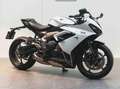 Triumph Daytona 650 660 Blanc - thumbnail 3