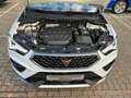 SEAT Ateca 2.0 TSI 4Drive DSG LM19 Kameras Navi Weiß - thumbnail 15