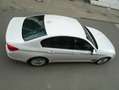 BMW 530 530i Sport,SAG,Leder,360°,ACC,Parken mit FB Beyaz - thumbnail 16