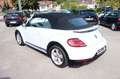 Volkswagen Beetle Cabriolet 1.4 TSI R-Line /Navi/ SHZG/ PDC Weiß - thumbnail 9