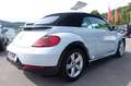 Volkswagen Beetle Cabriolet 1.4 TSI R-Line /Navi/ SHZG/ PDC Blanco - thumbnail 8