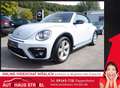 Volkswagen Beetle Cabriolet 1.4 TSI R-Line /Navi/ SHZG/ PDC Bianco - thumbnail 1