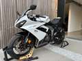 Triumph Daytona 650 Daytona 660 model 2025 Blanc - thumbnail 9