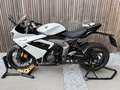 Triumph Daytona 650 Daytona 660 model 2025 Blanc - thumbnail 11