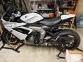 Triumph Daytona 650 Daytona 660 model 2025 Blanc - thumbnail 16