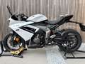 Triumph Daytona 650 Daytona 660 model 2025 Blanc - thumbnail 10