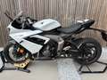 Triumph Daytona 650 Daytona 660 model 2025 Blanc - thumbnail 1