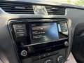 Skoda Octavia Ambition Servicebuch Skoda SR & WR Blau - thumbnail 18
