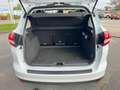 Ford C-Max Cool&Connect 1.0 EcoBoost Kamera Navi SHZ Bianco - thumbnail 8