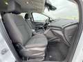 Ford C-Max Cool&Connect 1.0 EcoBoost Kamera Navi SHZ Bianco - thumbnail 14